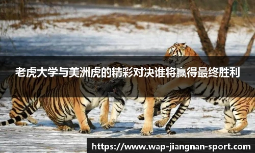 老虎大学与美洲虎的精彩对决谁将赢得最终胜利